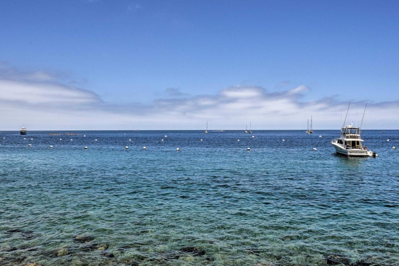 Catalina Island Cottage - Walk To Main St And Beach! อาวาลอน ภายนอก รูปภาพ